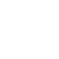 chatbot (1)